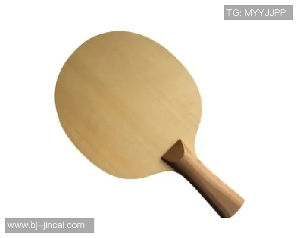 乒乓球新手必看：从基础技巧到实战配合的全面入门指南